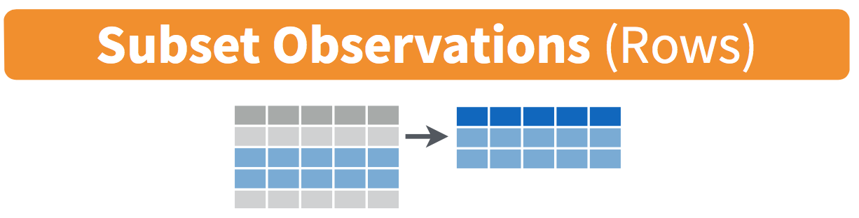 Filter diagram from Data Wrangling with dplyr and tidyr cheatsheet