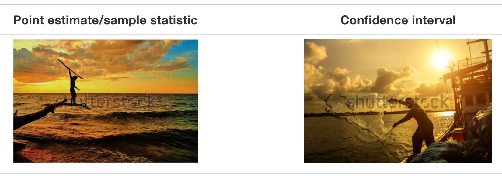 Analogy of difference between point estimates and confidence intervals.