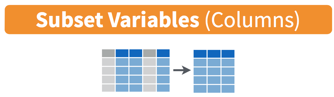 Diagram of select() columns.